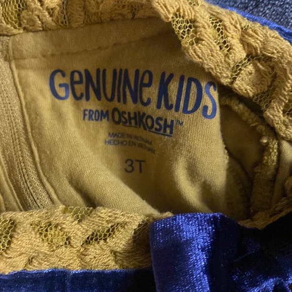 Genuine Kids From Oshkosh Lace Dress - Picture 9 of 11